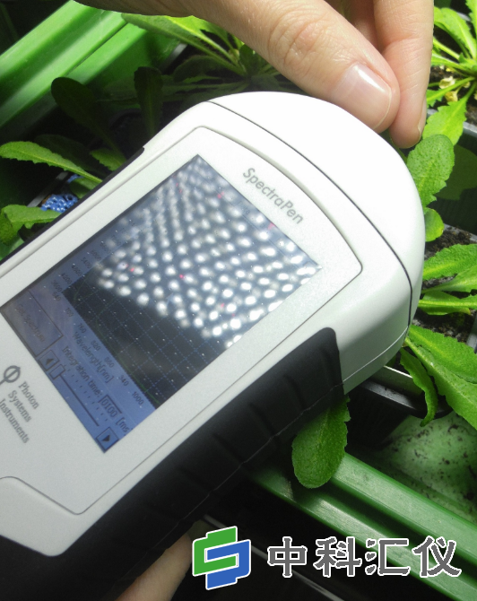 捷克PSI SpectraPen SP110手持式植物光谱仪1.png