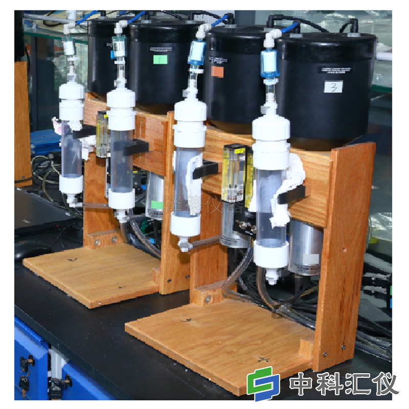 1768792995588399.jpg 1 (2).jpg